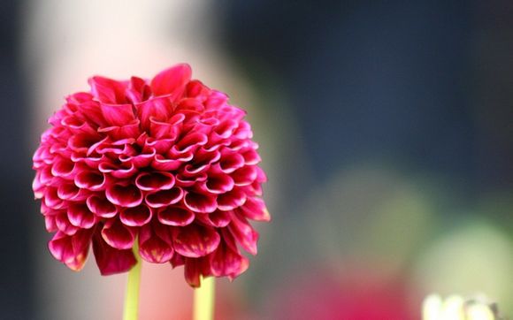 便签字如何改小呢